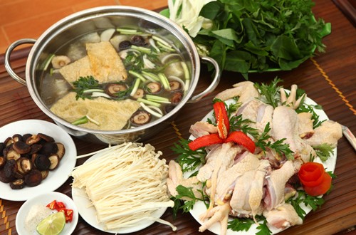 Ăn lẩu gà ở đâu ngon